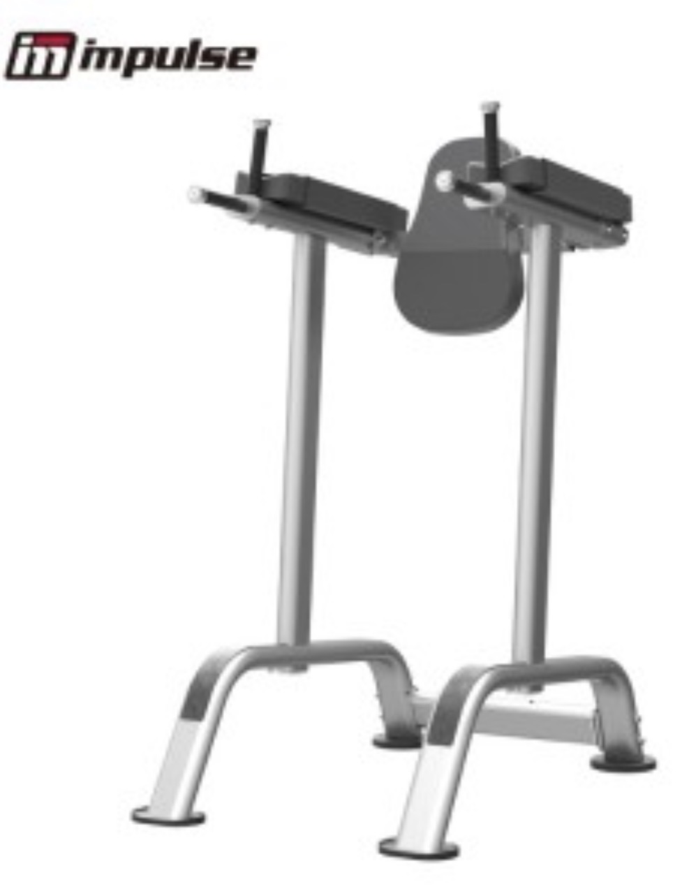 IT7010E Vertical Knee Raise