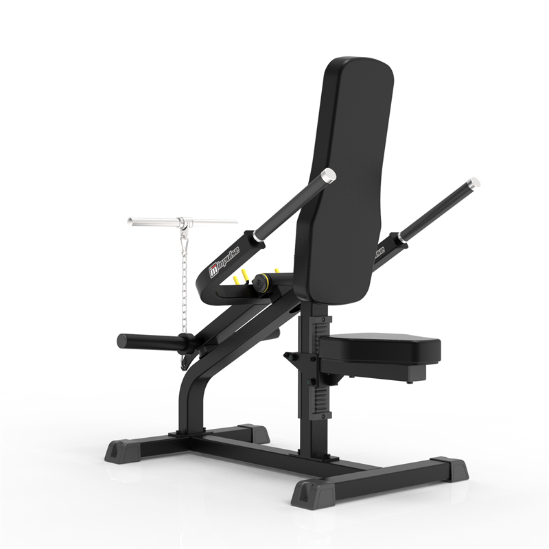 IFP1706 BICEPS/TRICEPS