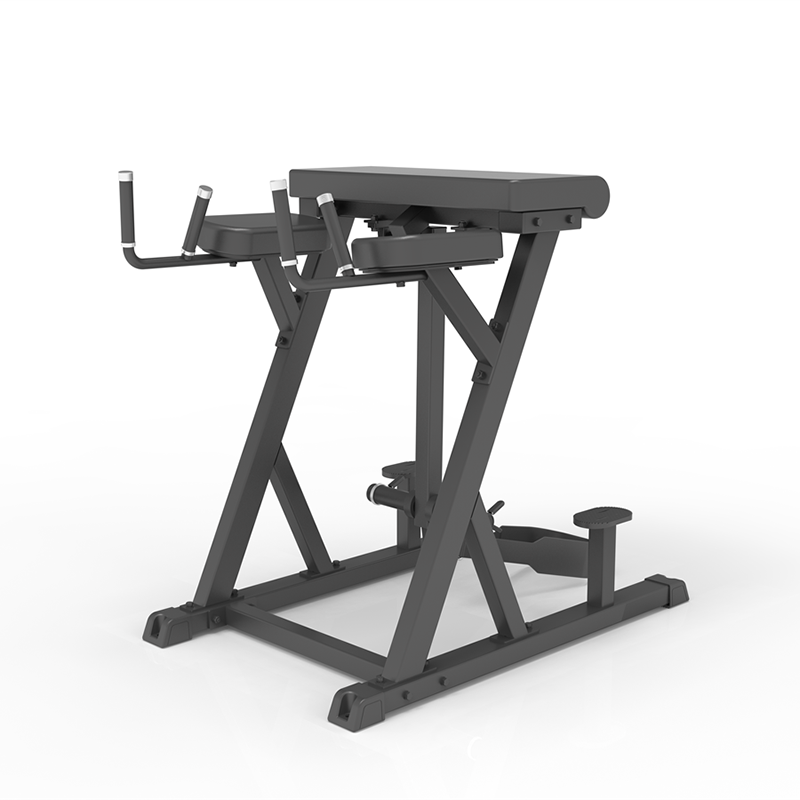 IFP1619 Reverse Hyperextension